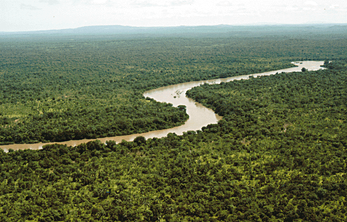 River_gambia_Niokolokoba_National_Park