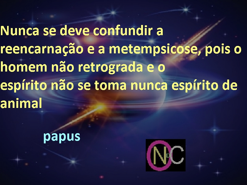 reecarnacao021frases
